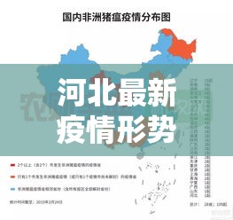 河北最新疫情形势图解—（河北最新疫情地图实时更新）