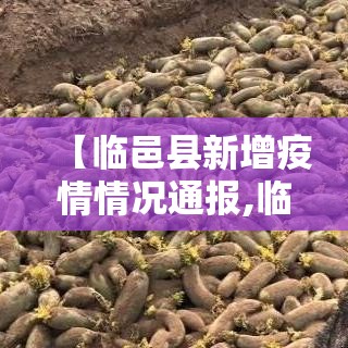 江苏疫情新增总数›江苏疫情最新2020今天新增 江苏疫情新增总数›江苏疫情最新2020今天新增