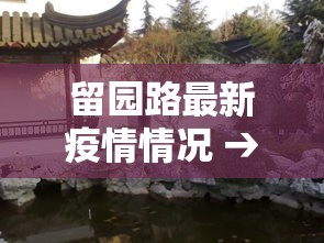 留园路最新疫情情况 → 留园路最新疫情情况如何