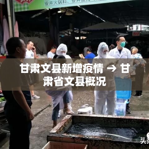 一分钟了解“微信牛牛房卡金花房卡	”详细房卡教程