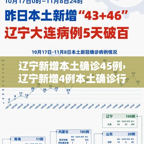 辽宁新增本土确诊45例›辽宁新增4例本土确诊行程 辽宁新增本土确诊45例›辽宁新增4例本土确诊行程