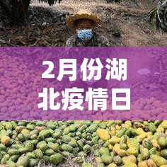 秒懂百科“微信金花房卡在哪里充”详细房卡使用教程