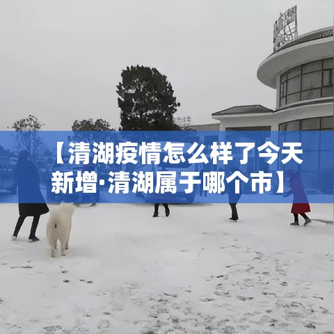 【清湖疫情怎么样了今天新增·清湖属于哪个市】 【清湖疫情怎么样了今天新增·清湖属于哪个市】