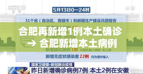 合肥再新增1例本土确诊 → 合肥新增本土病例