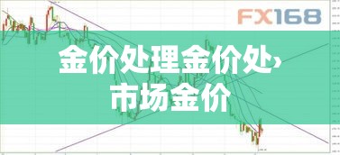 金价处理金价处›市场金价