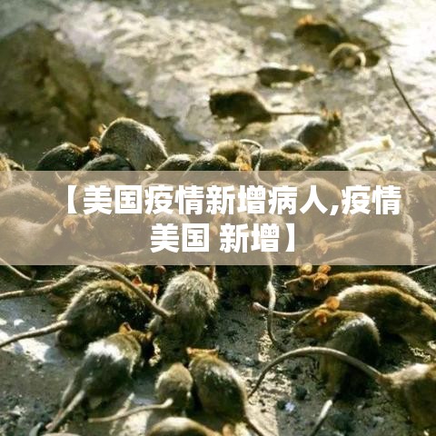 葫芦岛市疫情无新增病例 → 葫芦岛市疫情无新增病例最新消息 葫芦岛市疫情无新增病例 → 葫芦岛市疫情无新增病例最新消息