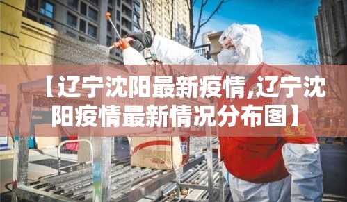 【辽宁沈阳最新疫情,辽宁沈阳疫情最新情况分布图】