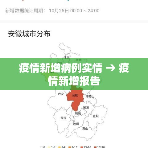 疫情新增病例实情 → 疫情新增报告 疫情新增病例实情 → 疫情新增报告