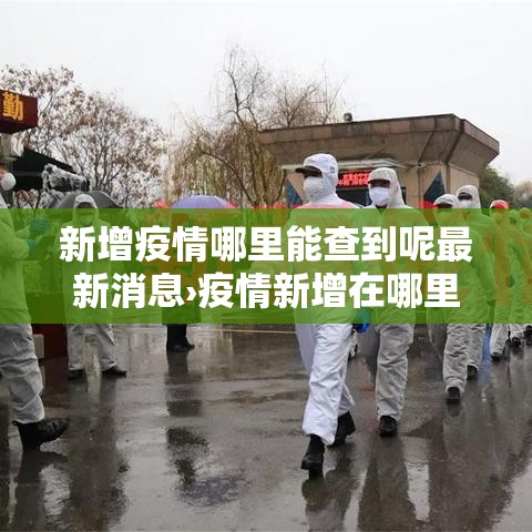 新增疫情哪里能查到呢最新消息›疫情新增在哪里看 新增疫情哪里能查到呢最新消息›疫情新增在哪里看