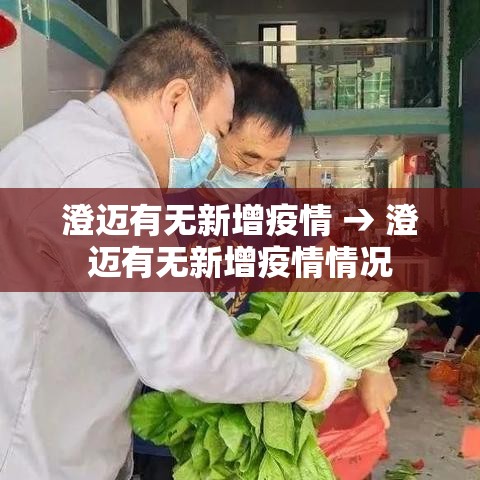 澄迈有无新增疫情 → 澄迈有无新增疫情情况 澄迈有无新增疫情 → 澄迈有无新增疫情情况