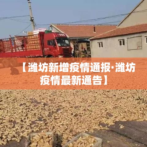 灵壁疫情新增病例—（灵壁疫情新增病例活动轨迹）