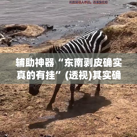 辅助神器“东南剥皮确实真的有挂”(透视)其实确实有挂