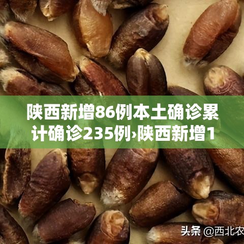 陕西新增86例本土确诊累计确诊235例›陕西新增1例本土确诊病例具体情况