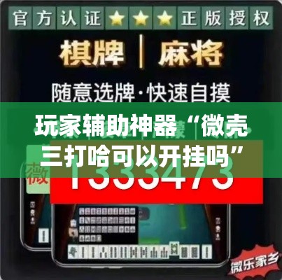 玩家辅助神器“微壳三打哈可以开挂吗”(透视)其实确实有挂