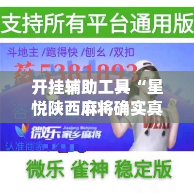 开挂辅助工具“星悦陕西麻将确实真的有挂”专业师傅带你一起了解(确实有挂