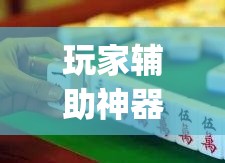 玩家辅助神器“微乐福建麻将怎么打才会赢”(作弊)辅助透视教程