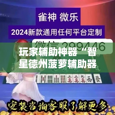 玩家辅助神器“智星德州菠萝辅助器下载安装”分享用挂教程