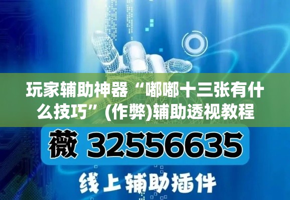玩家辅助神器“嘟嘟十三张有什么技巧	”(作弊)辅助透视教程