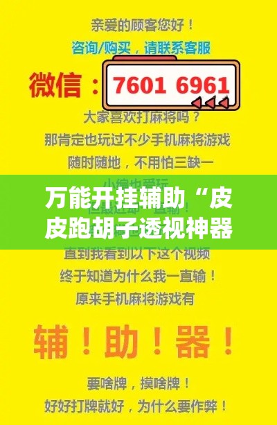 万能开挂辅助“皮皮跑胡子透视神器	”专业师傅带你一起了解(确实有挂