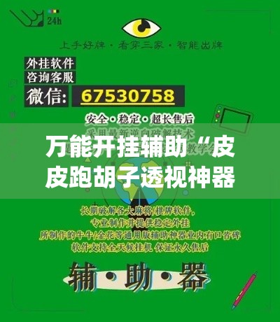 万能开挂辅助“皮皮跑胡子透视神器”专业师傅带你一起了解(确实有挂