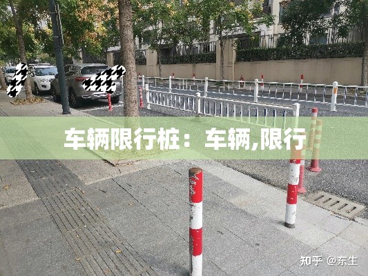 车辆限行桩：车辆,限行