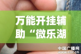 万能开挂辅助“微乐湖北麻将开挂神器”(作弊)辅助透视教程