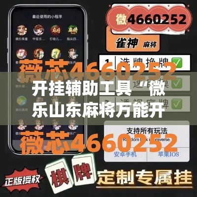 开挂辅助工具“微乐山东麻将万能开挂器	”(作弊)辅助透视教程