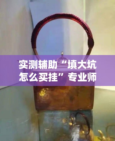实测辅助“填大坑怎么买挂”专业师傅带你一起了解(确实有挂