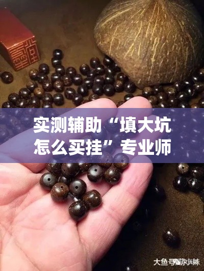 实测辅助“填大坑怎么买挂”专业师傅带你一起了解(确实有挂