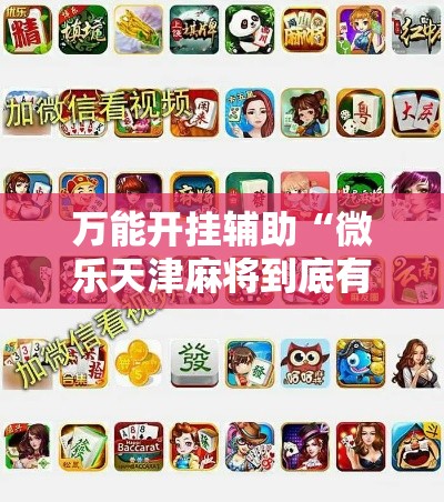 万能开挂辅助“微乐天津麻将到底有没有挂”科技辅助神器手机版