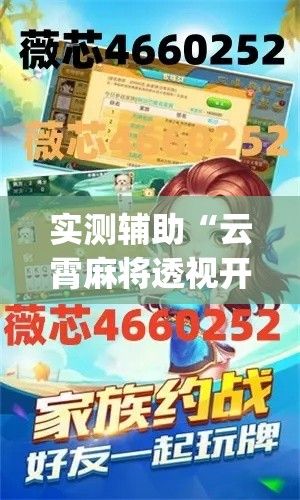 实测辅助“云霄麻将透视开挂”专业师傅带你一起了解(确实有挂