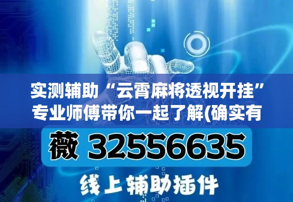 实测辅助“云霄麻将透视开挂	”专业师傅带你一起了解(确实有挂