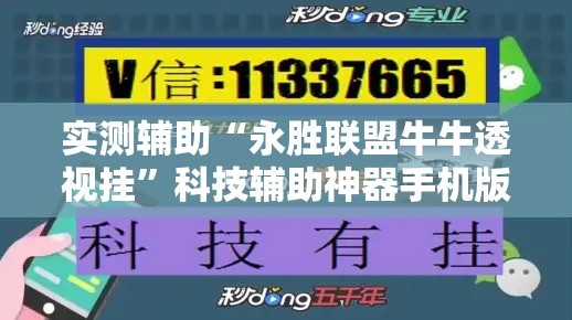 实测辅助“永胜联盟牛牛透视挂”科技辅助神器手机版