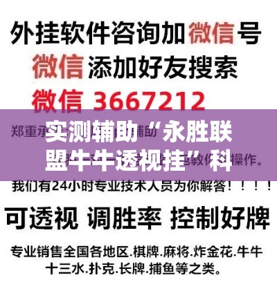 实测辅助“永胜联盟牛牛透视挂”科技辅助神器手机版