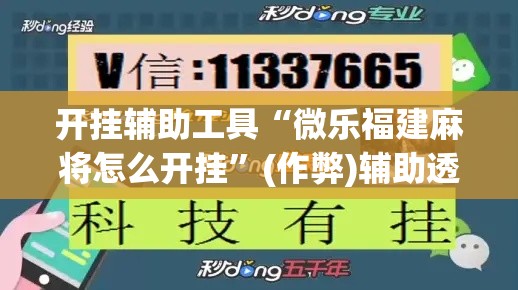 开挂辅助工具“微乐福建麻将怎么开挂”(作弊)辅助透视教程