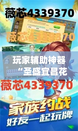 玩家辅助神器“圣盛宜昌花牌透视工具	”专业师傅带你一起了解(确实有挂
