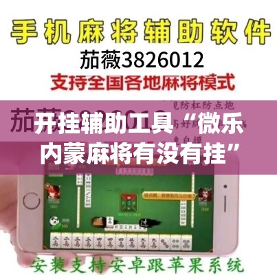 开挂辅助工具“微乐内蒙麻将有没有挂	”(透视)其实确实有挂