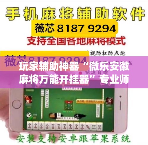 玩家辅助神器“微乐安徽麻将万能开挂器”专业师傅带你一起了解(确实有挂