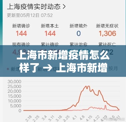 上海市新增疫情怎么样了 → 上海市新增新冠肺炎 上海市新增疫情怎么样了 → 上海市新增新冠肺炎