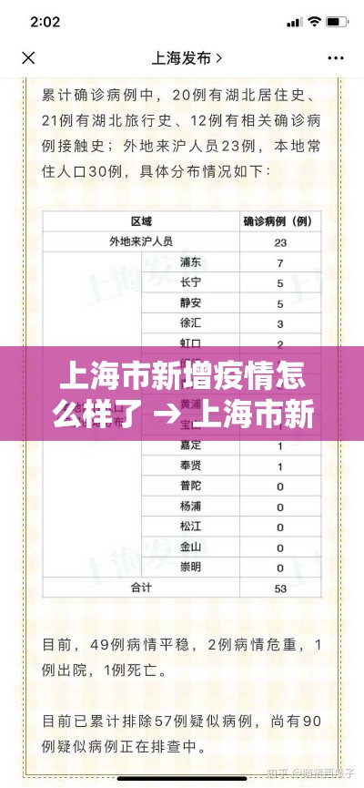 上海市新增疫情怎么样了 → 上海市新增新冠肺炎 上海市新增疫情怎么样了 → 上海市新增新冠肺炎