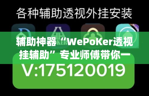 辅助神器“WePoKer透视挂辅助”专业师傅带你一起了解(确实有挂