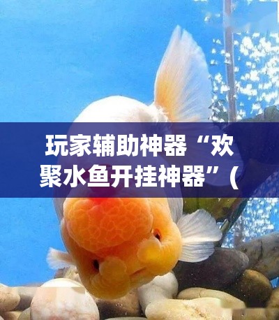 玩家辅助神器“欢聚水鱼开挂神器	”(透视)其实确实有挂