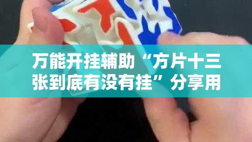 万能开挂辅助“方片十三张到底有没有挂”分享用挂教程