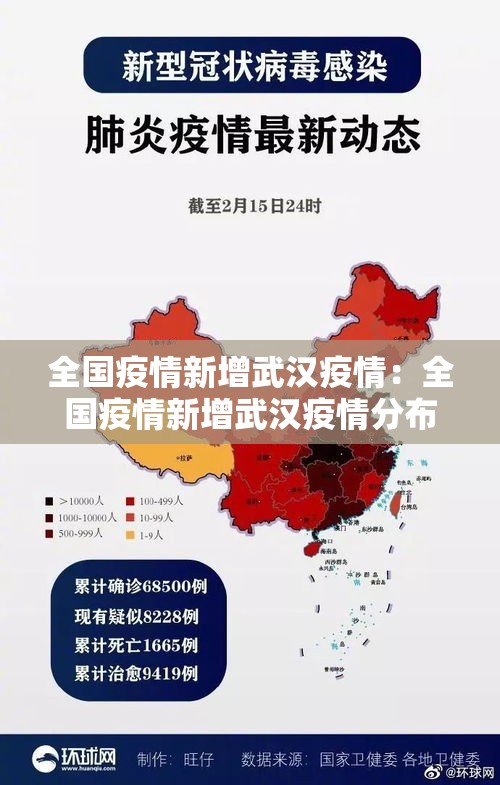 全国疫情新增武汉疫情：全国疫情新增武汉疫情分布图