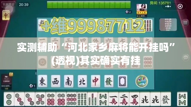 实测辅助“河北家乡麻将能开挂吗”(透视)其实确实有挂