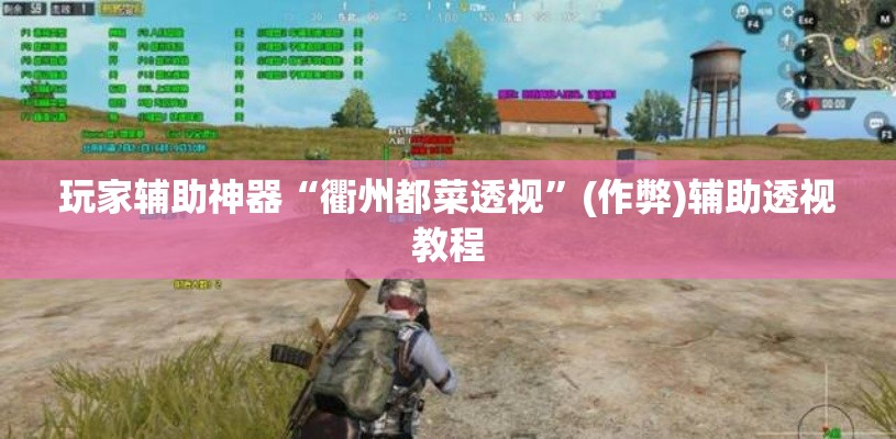 玩家辅助神器“衢州都菜透视”(作弊)辅助透视教程
