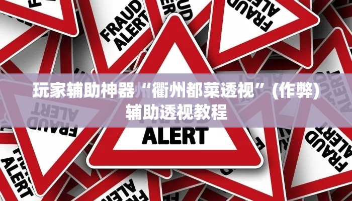 玩家辅助神器“衢州都菜透视”(作弊)辅助透视教程