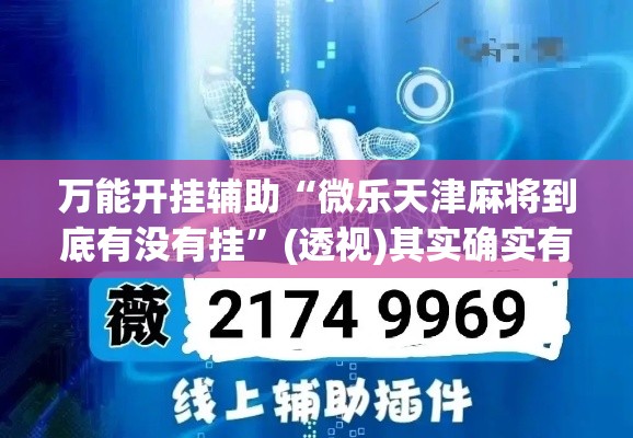 万能开挂辅助“微乐天津麻将到底有没有挂”(透视)其实确实有挂
