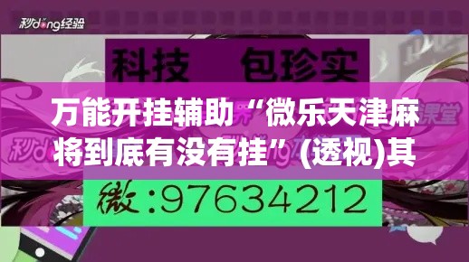 万能开挂辅助“微乐天津麻将到底有没有挂”(透视)其实确实有挂