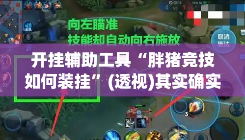 开挂辅助工具“胖猪竞技如何装挂”(透视)其实确实有挂